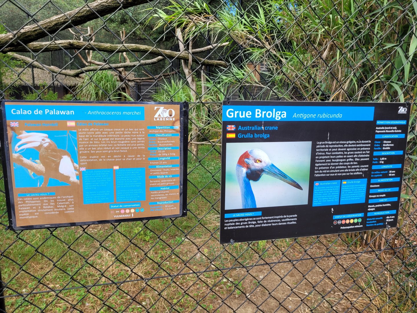 Brolga and Palawan hornbill signs -Zoo de Labenne (2024)