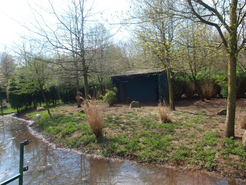 Brolga enclosure (April 19th, 2015)