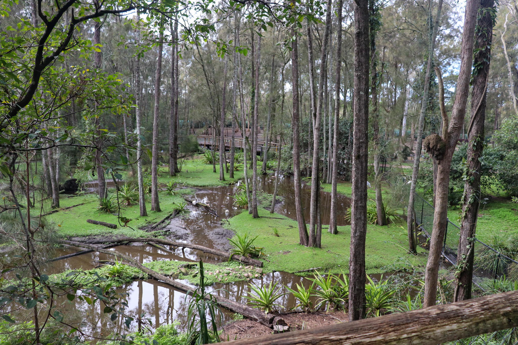 Brolga Enclosure