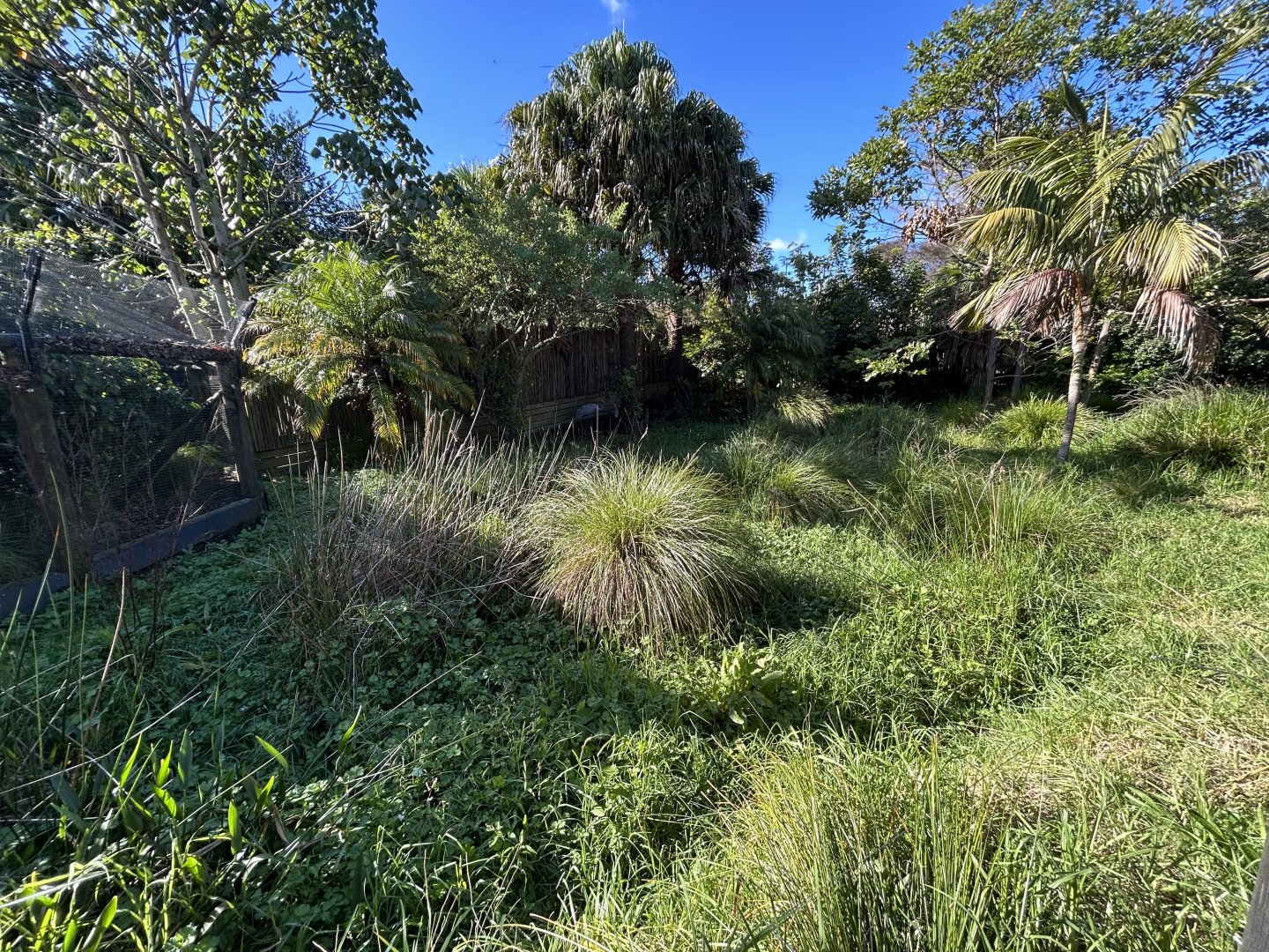Brolga Exhibit - Australian Bush Track