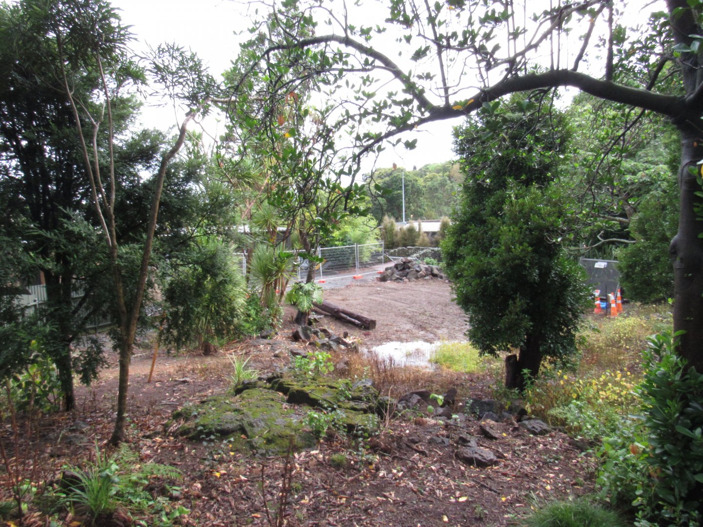 Brolga Exhibit Construction