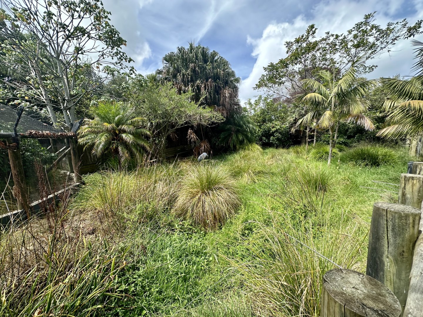 Brolga Exhibit