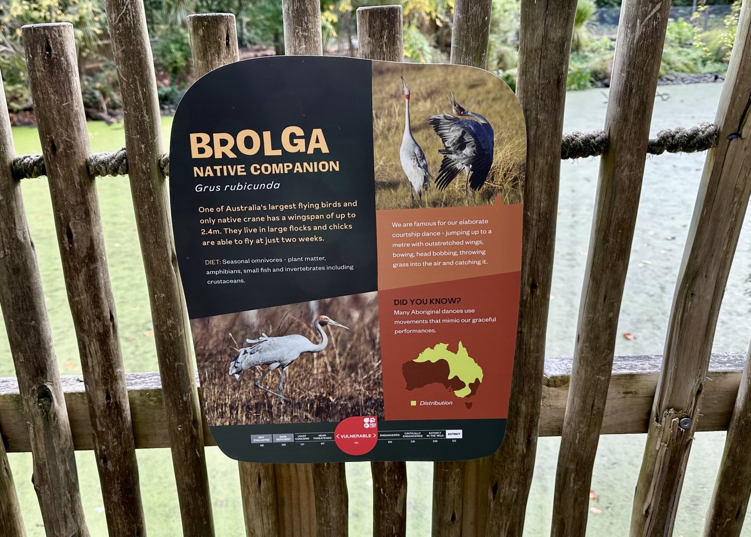 Brolga Signage