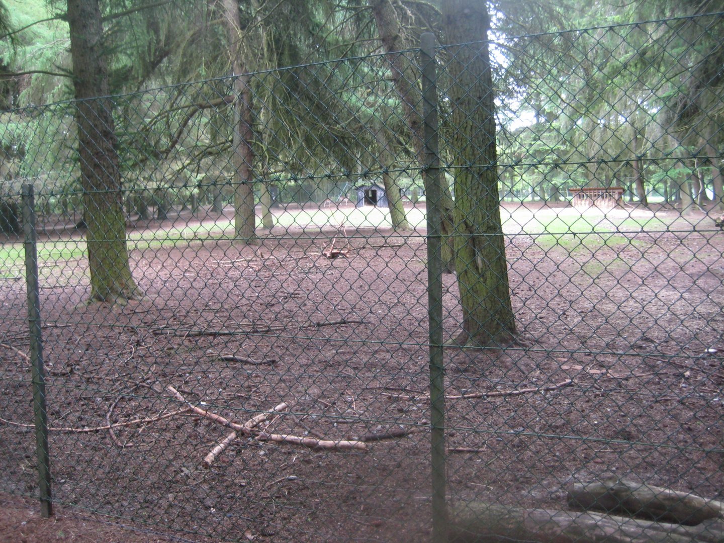 Brønderslev Psykiatripark - Fallow deer exhibit #1