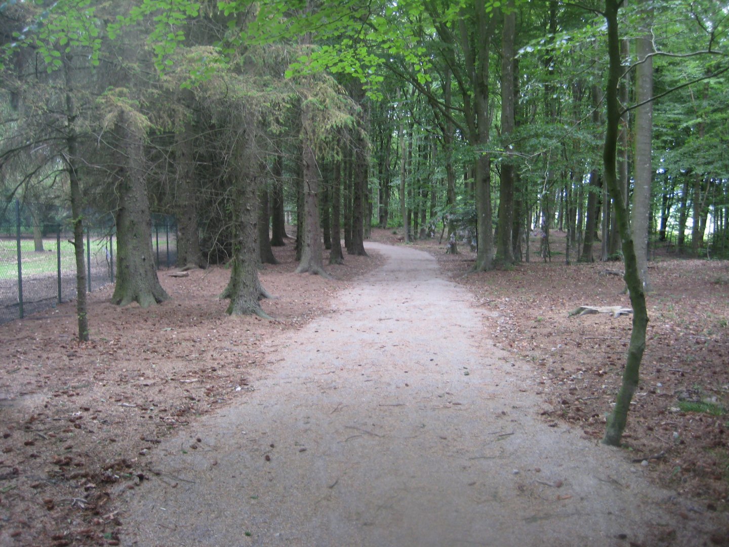 Brønderslev Psykiatripark - General view