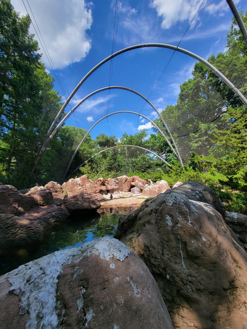 Bronx 7/22 - Aquatic Bird House - Aitken Sea Bird Aviary