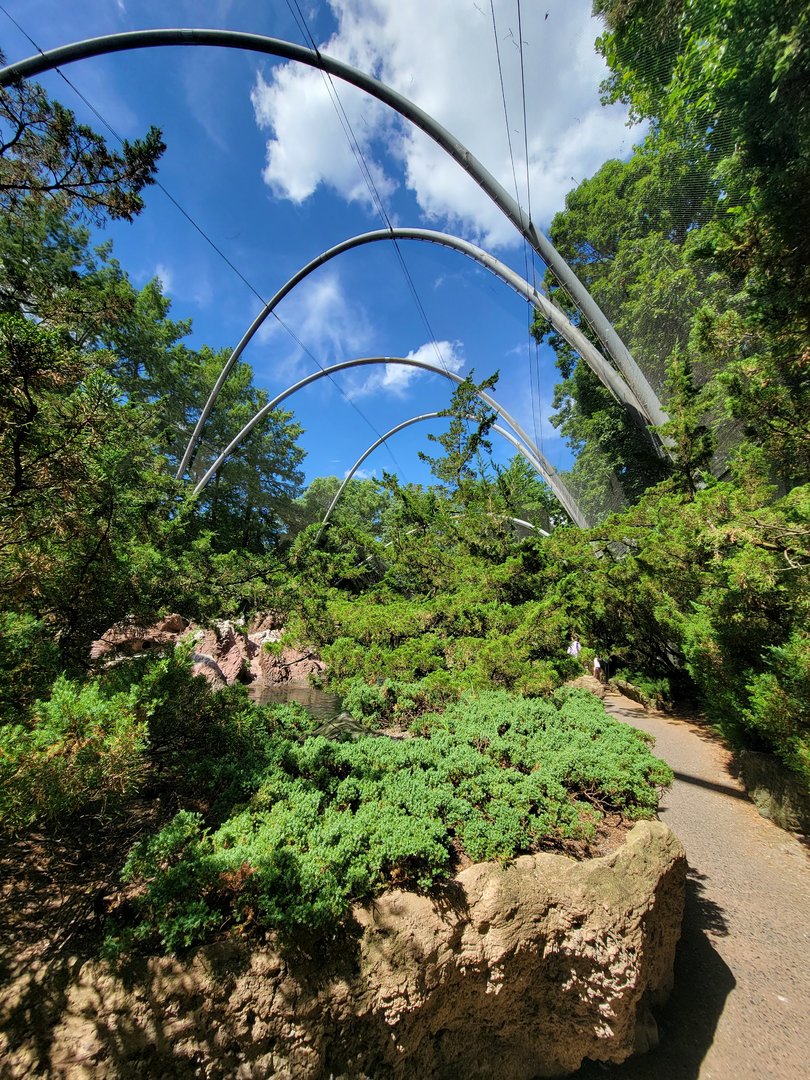 Bronx 7/22 - Aquatic Bird House - Aitken Sea Bird Aviary