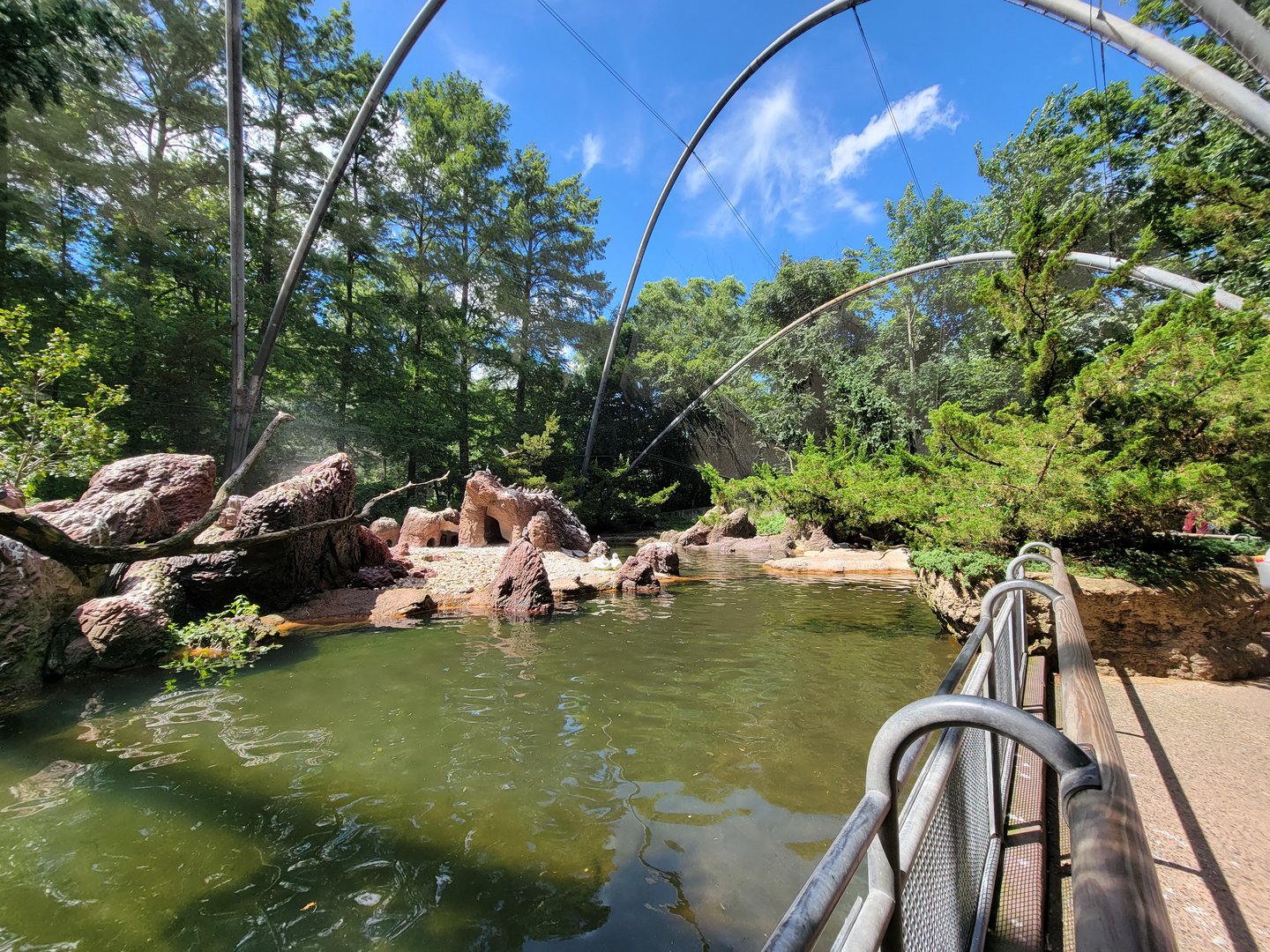 Bronx 7/22 - Aquatic Bird House - Aitken Sea Bird Aviary