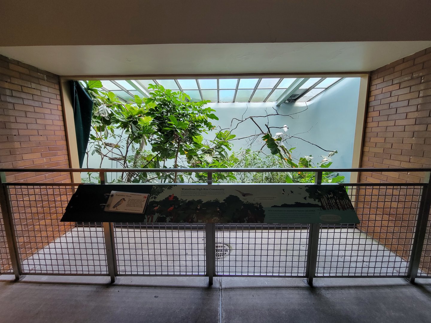 Bronx 7/22 - Aquatic Bird House - Anhinga exhibit