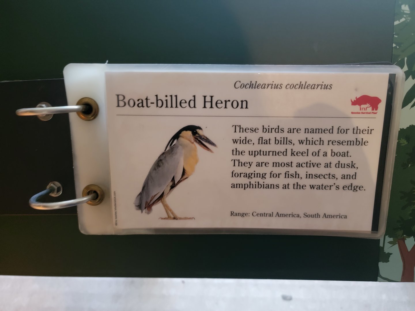 Bronx 7/22 - Aquatic Bird House - Example of flip book signage
