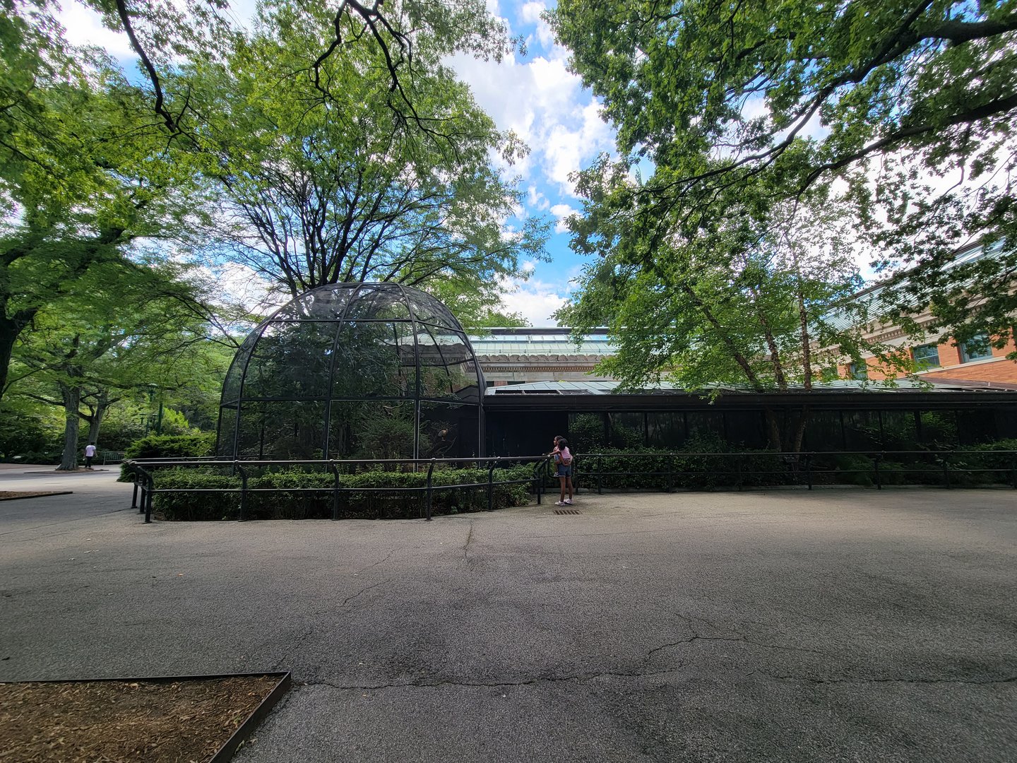 Bronx 7/22 - Astor Court - Black-faced Ibis