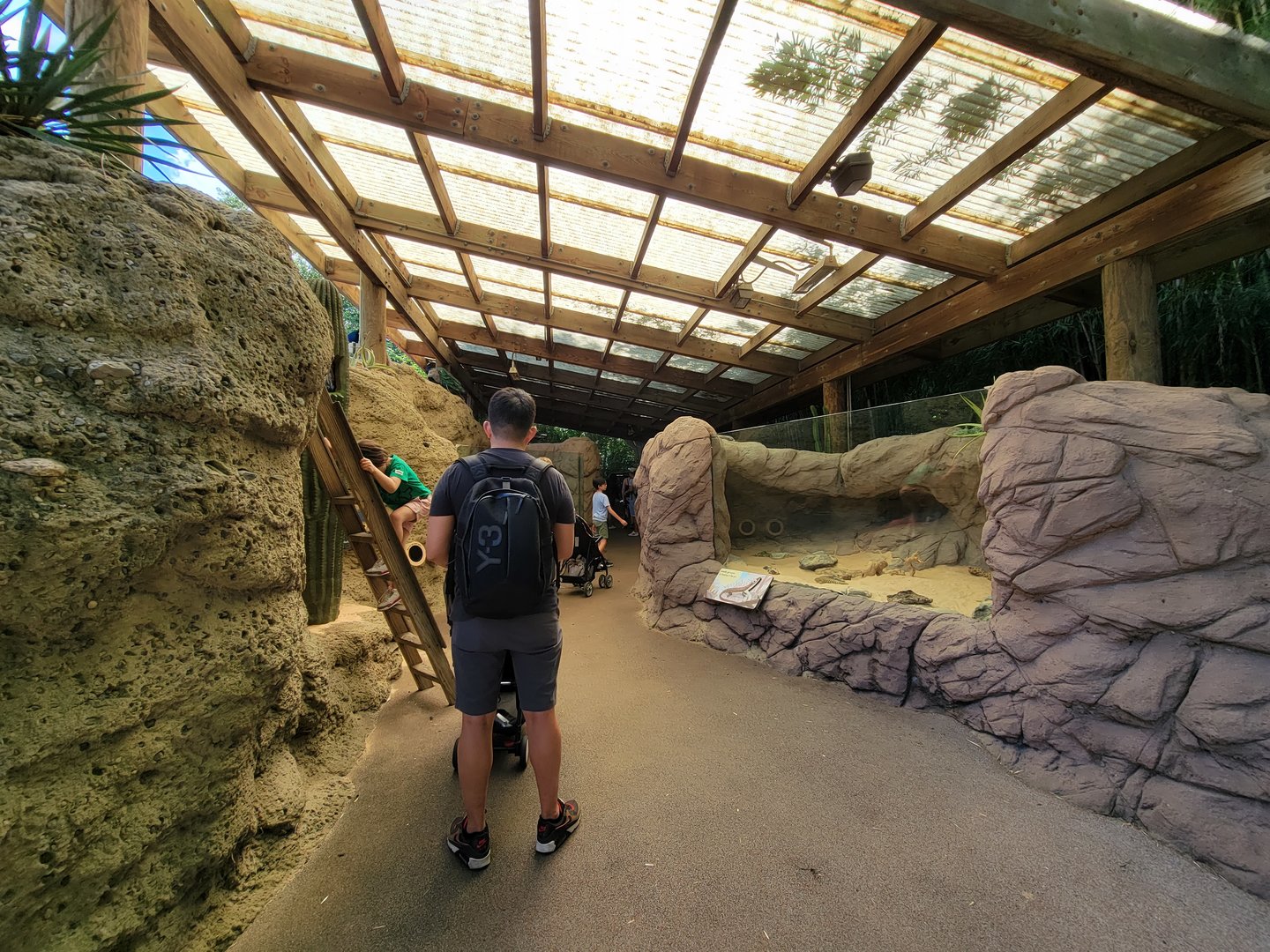 Bronx 7/22 - Children's Zoo - Desert area