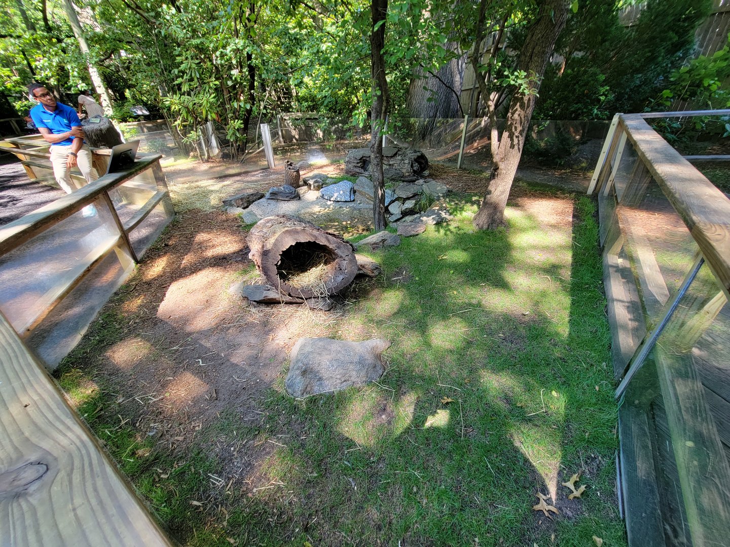 Bronx 7/22 - Children's Zoo - Domestic rabbits