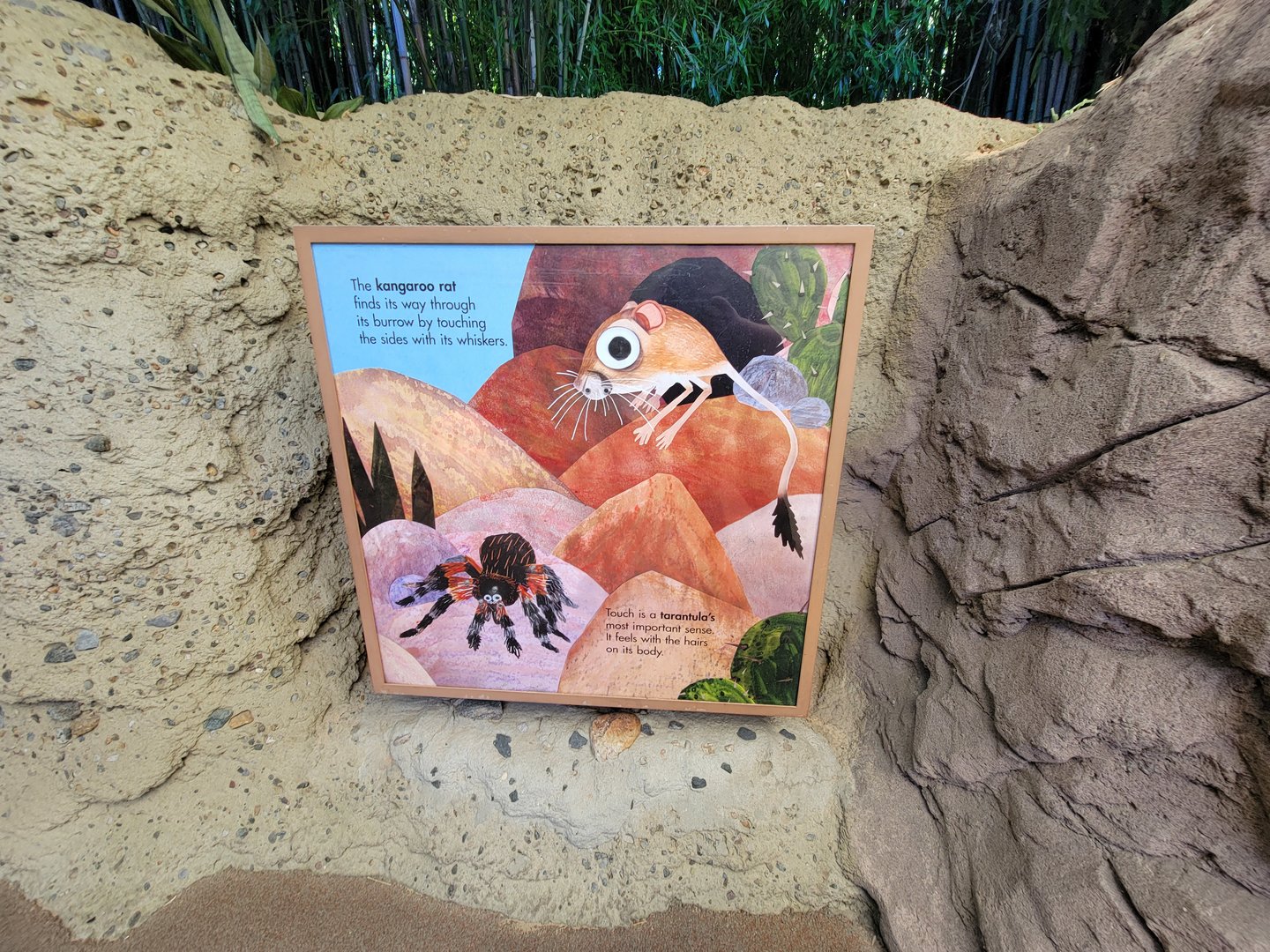 Bronx 7/22 - Children's Zoo - Kangaroo-rat signage