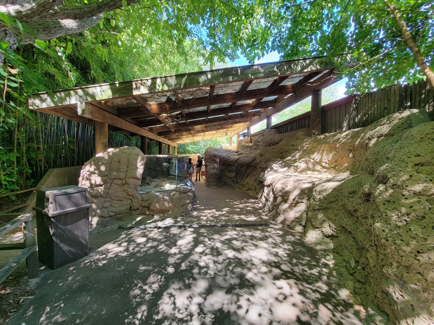 Bronx 7/22 - Children's Zoo - Looking back at desert area