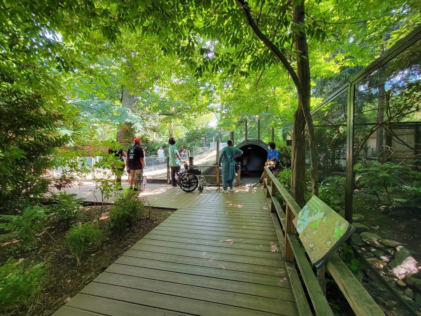 Bronx 7/22 - Children's Zoo - Path, play area