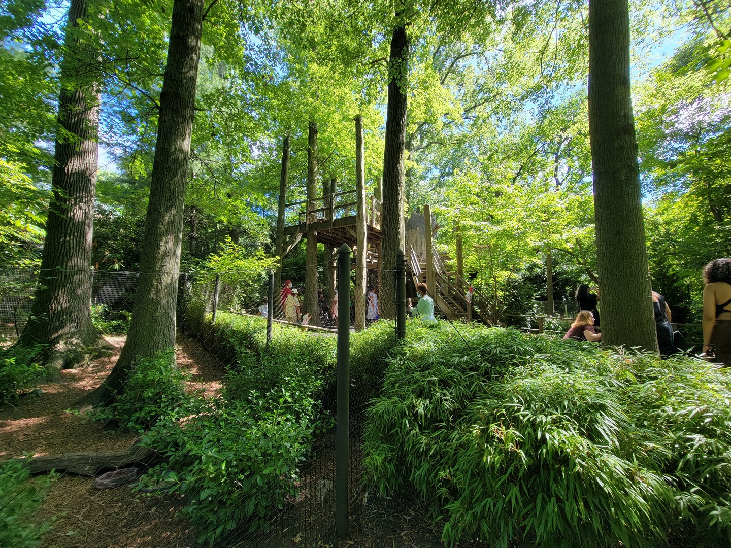 Bronx 7/22 - Children's Zoo - Play area