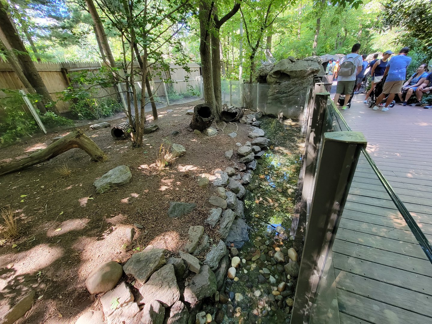 Bronx 7/22 - Children's Zoo - River otters