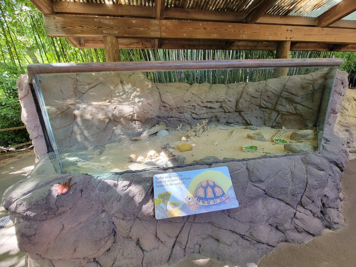 Bronx 7/22 - Children's Zoo - "Turtles"