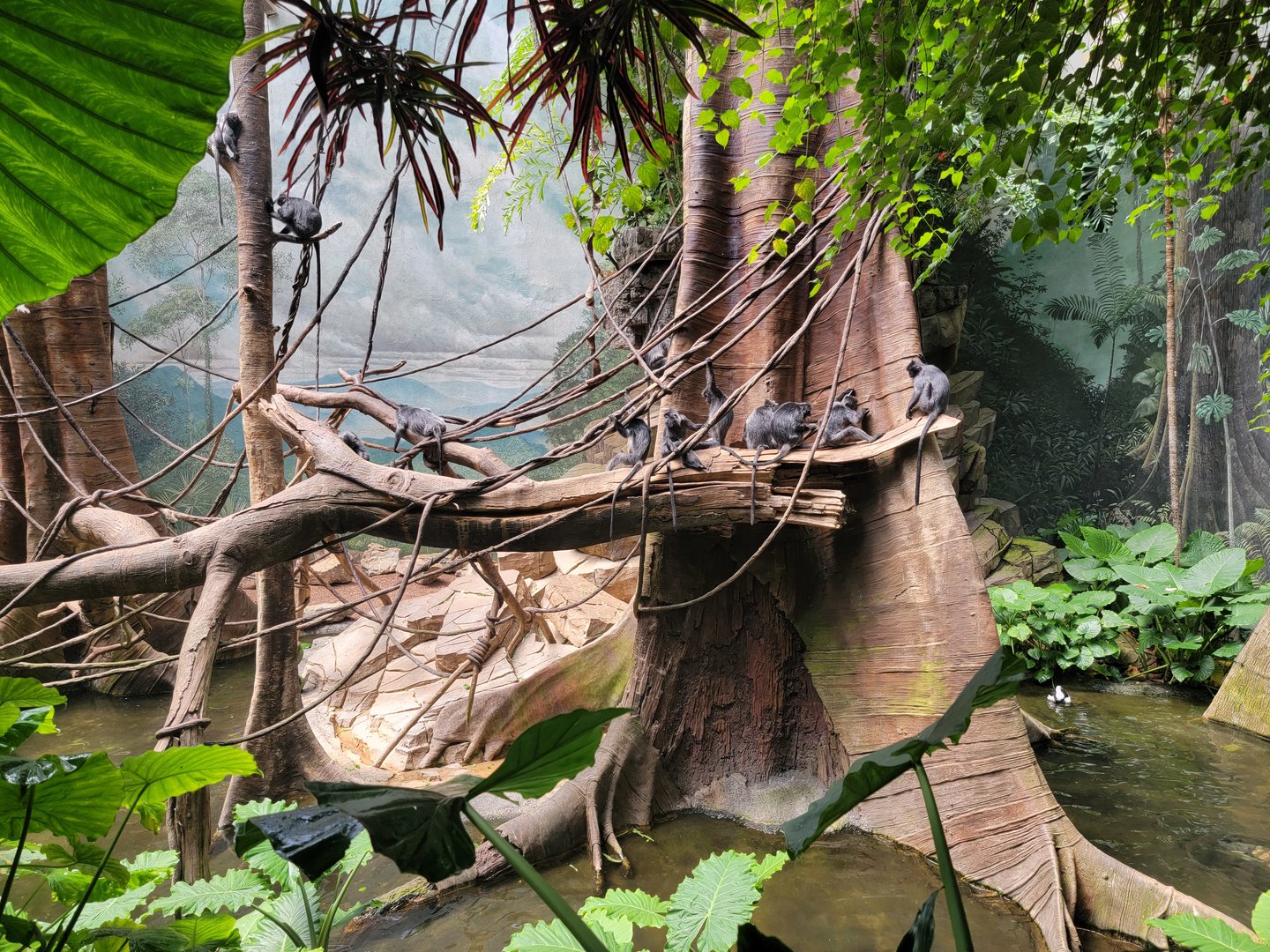 Bronx 7/22 - Jungle World