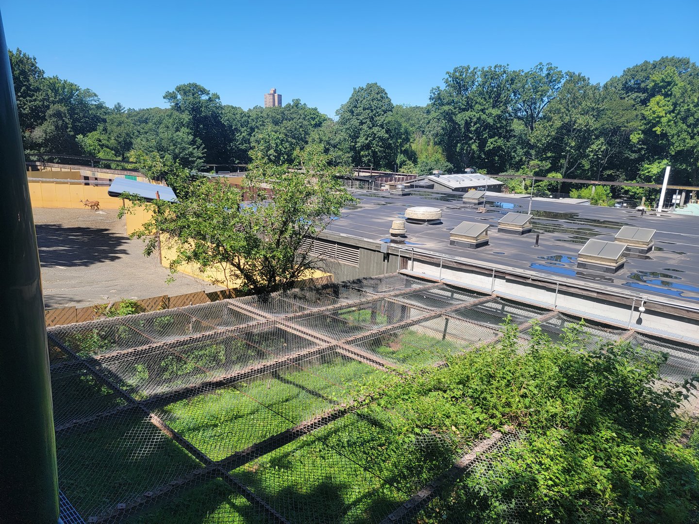 Bronx 7/22 - Monorail - Barn area