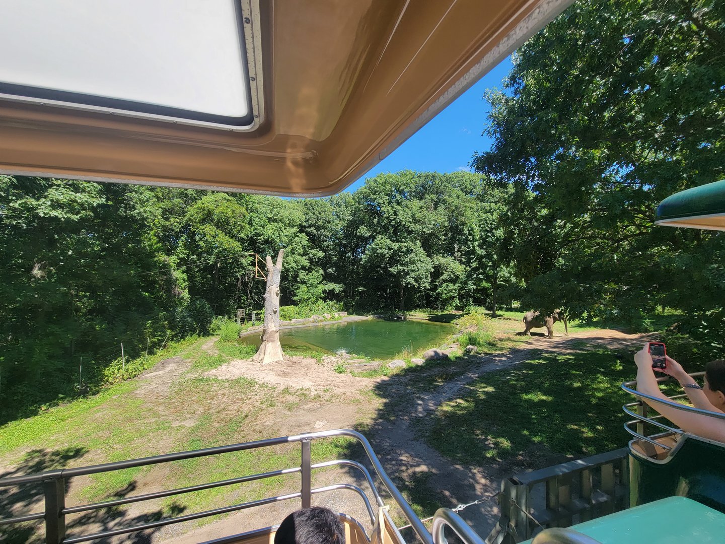 Bronx 7/22 - Monorail - Elephant pool