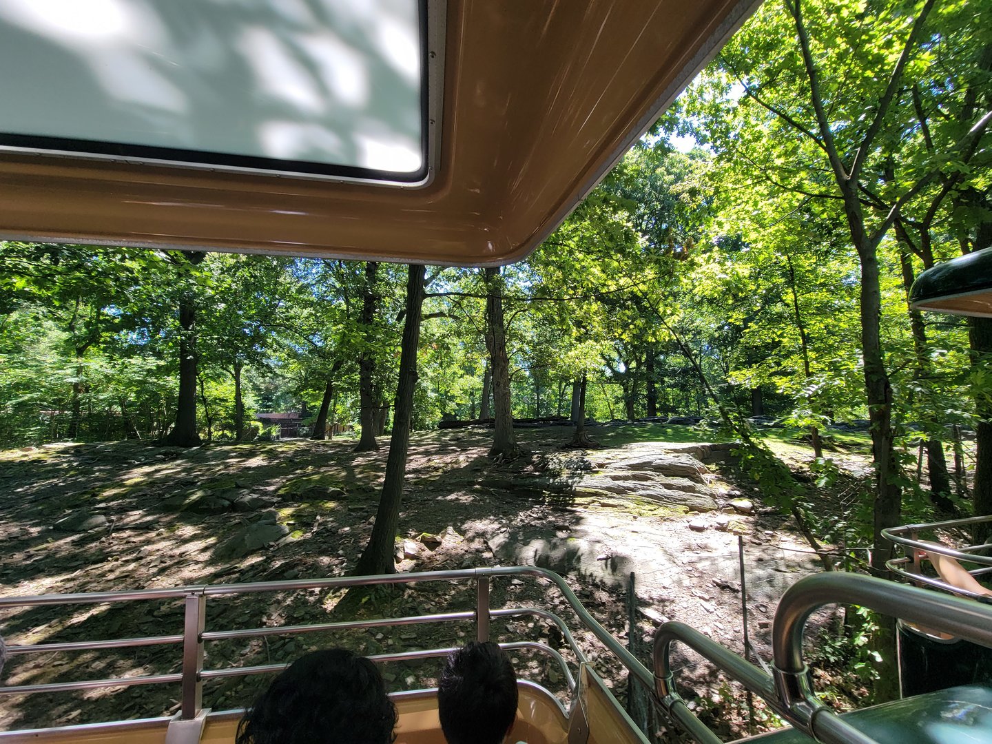 Bronx 7/22 - Monorail - Nilgai, I think?