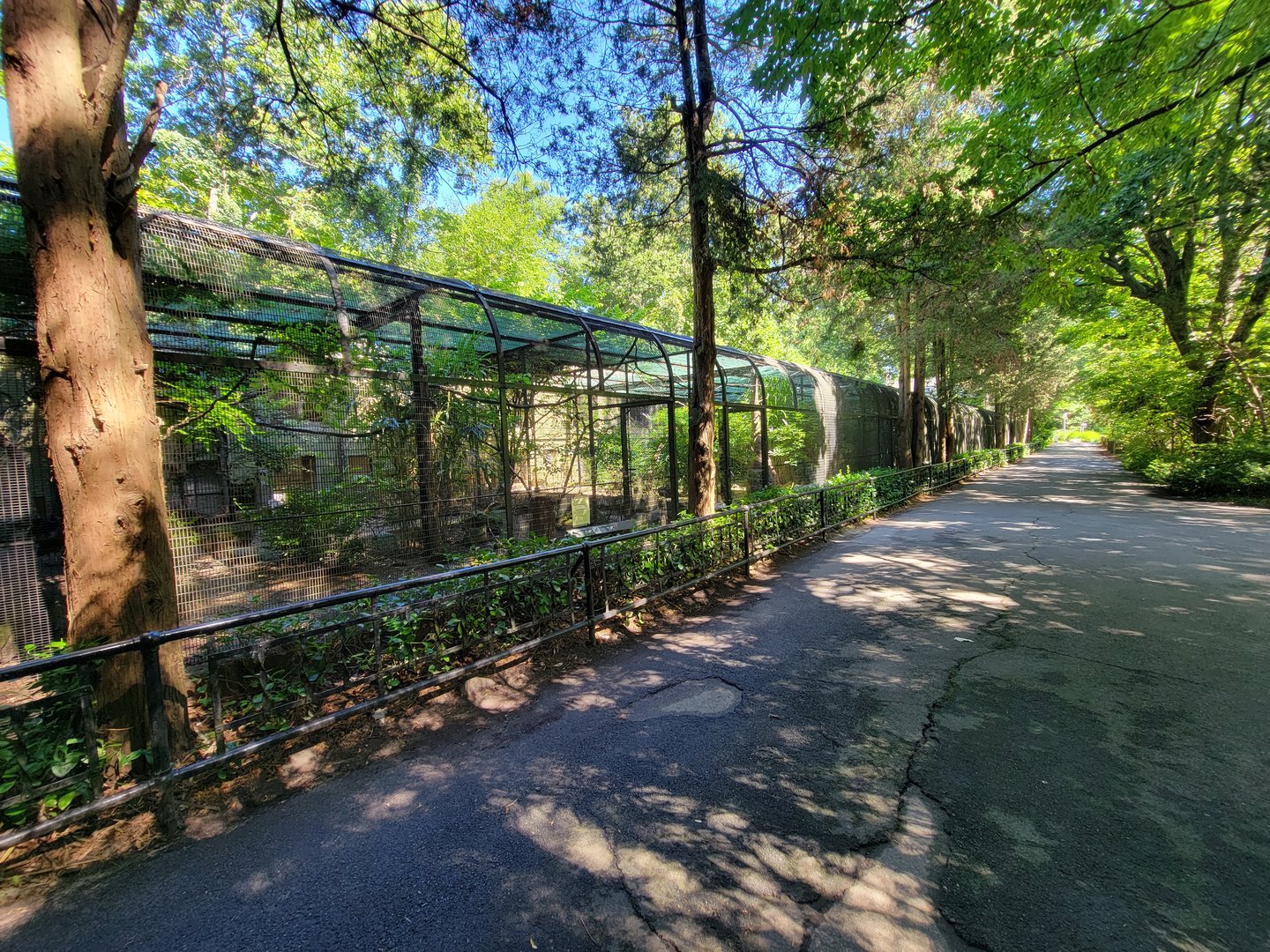 Bronx 7/22 - Pheasantry - Row of exhibits