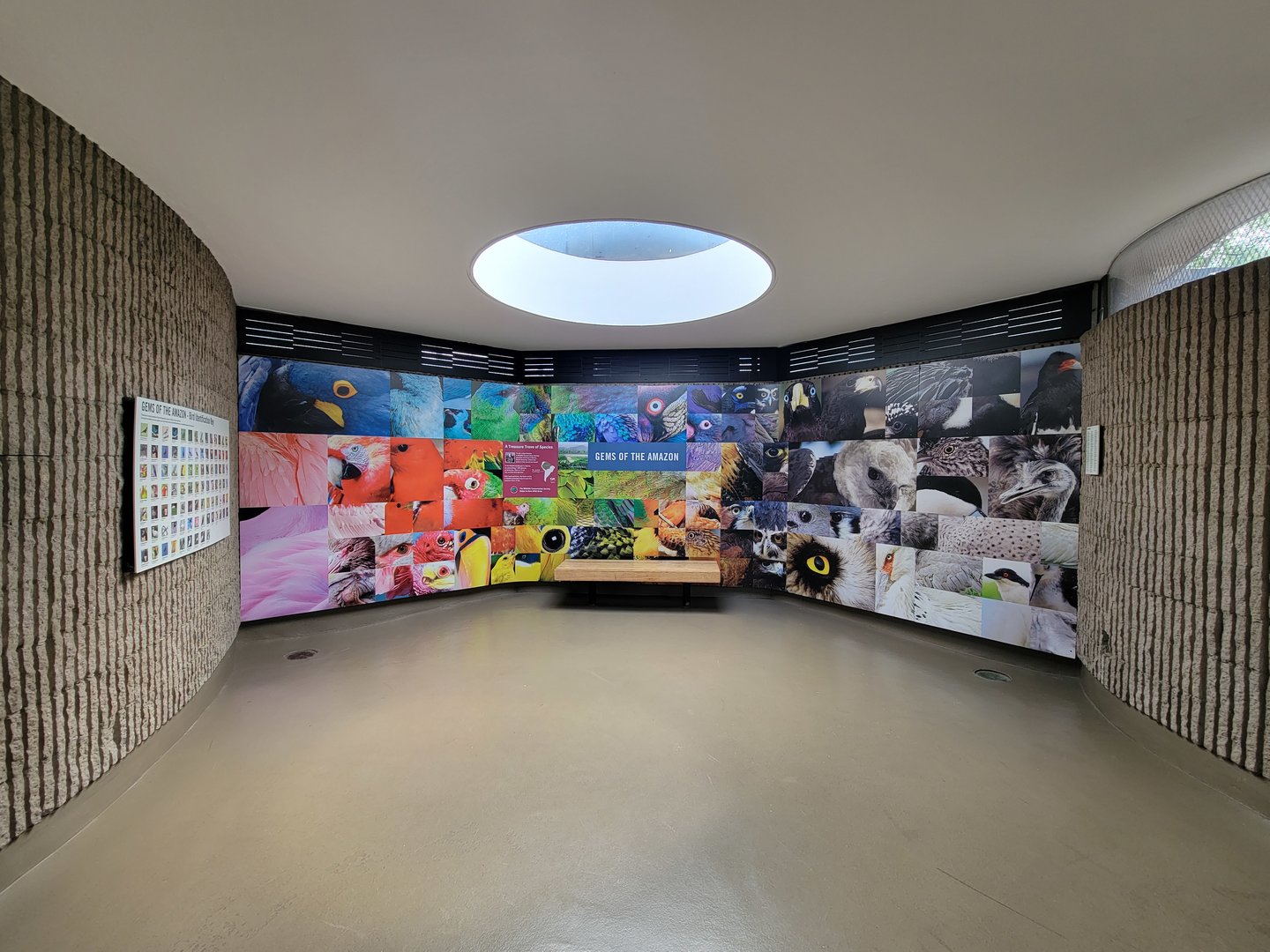 Bronx 7/22 - World of Birds - Gems of the Amazon mural