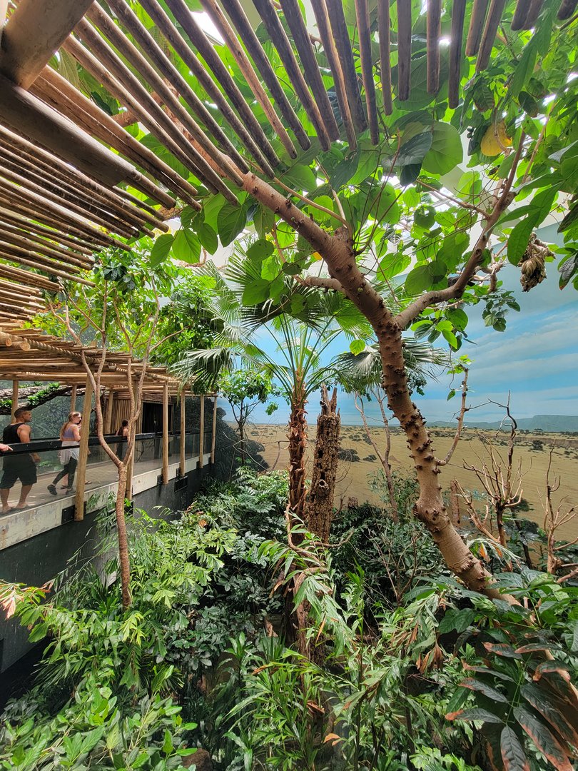 Bronx 7/22 - World of Birds - Main second floor aviary