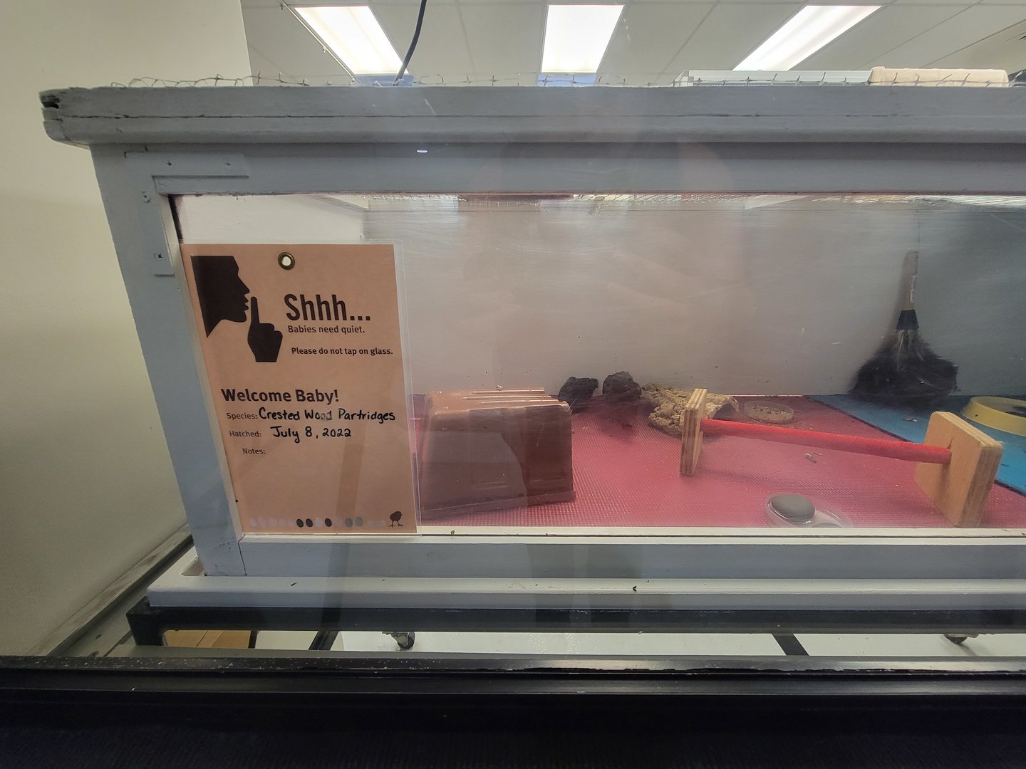 Bronx 7/22 - World of Birds - Nursery