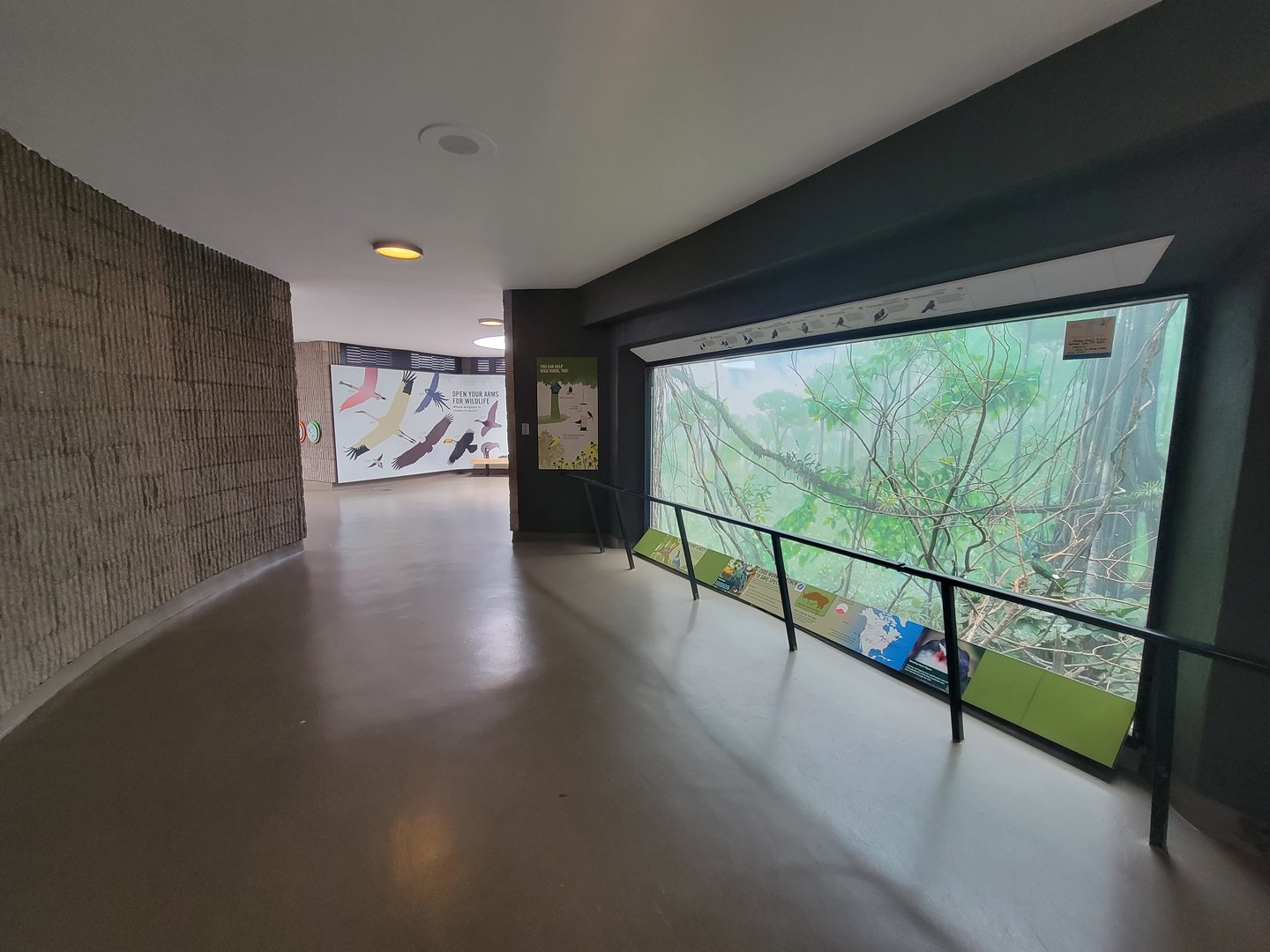 Bronx 7/22 - World of Birds - Upstairs viewing for nicobar exhibit