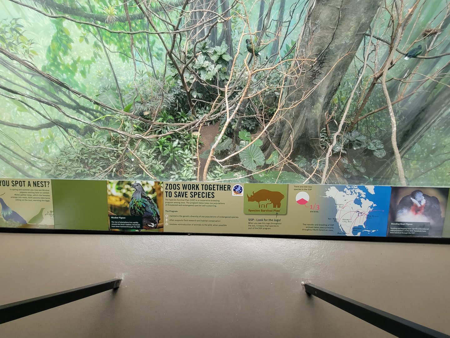 Bronx 7/22 - World of Birds - Zoos saving species sign