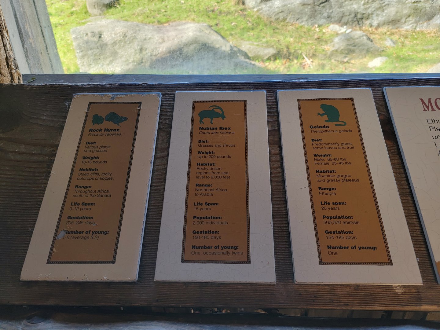 Bronx - Africa - Baboon Reserve species