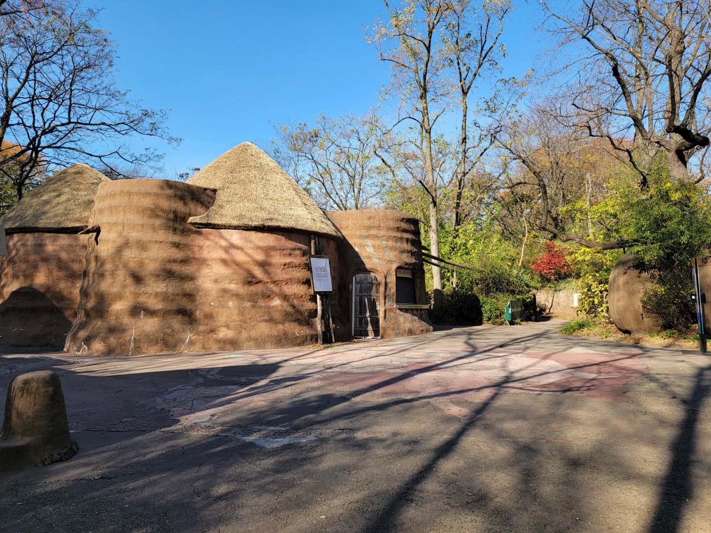 Bronx - Africa - Baboon Reserve