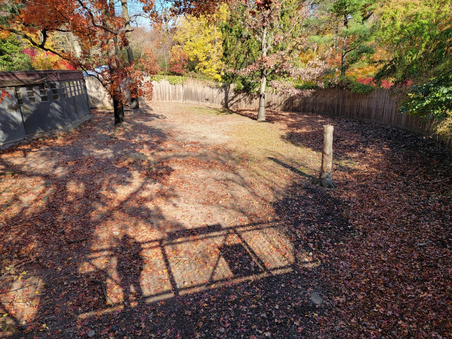 Bronx - Africa - No duiker :(