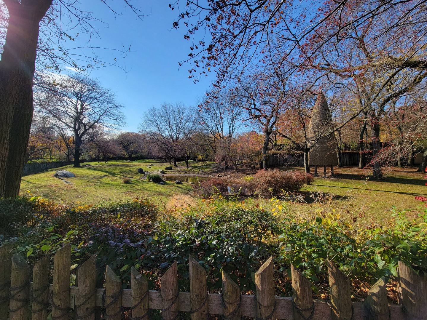 Bronx - Africa - Nyala yard from right end