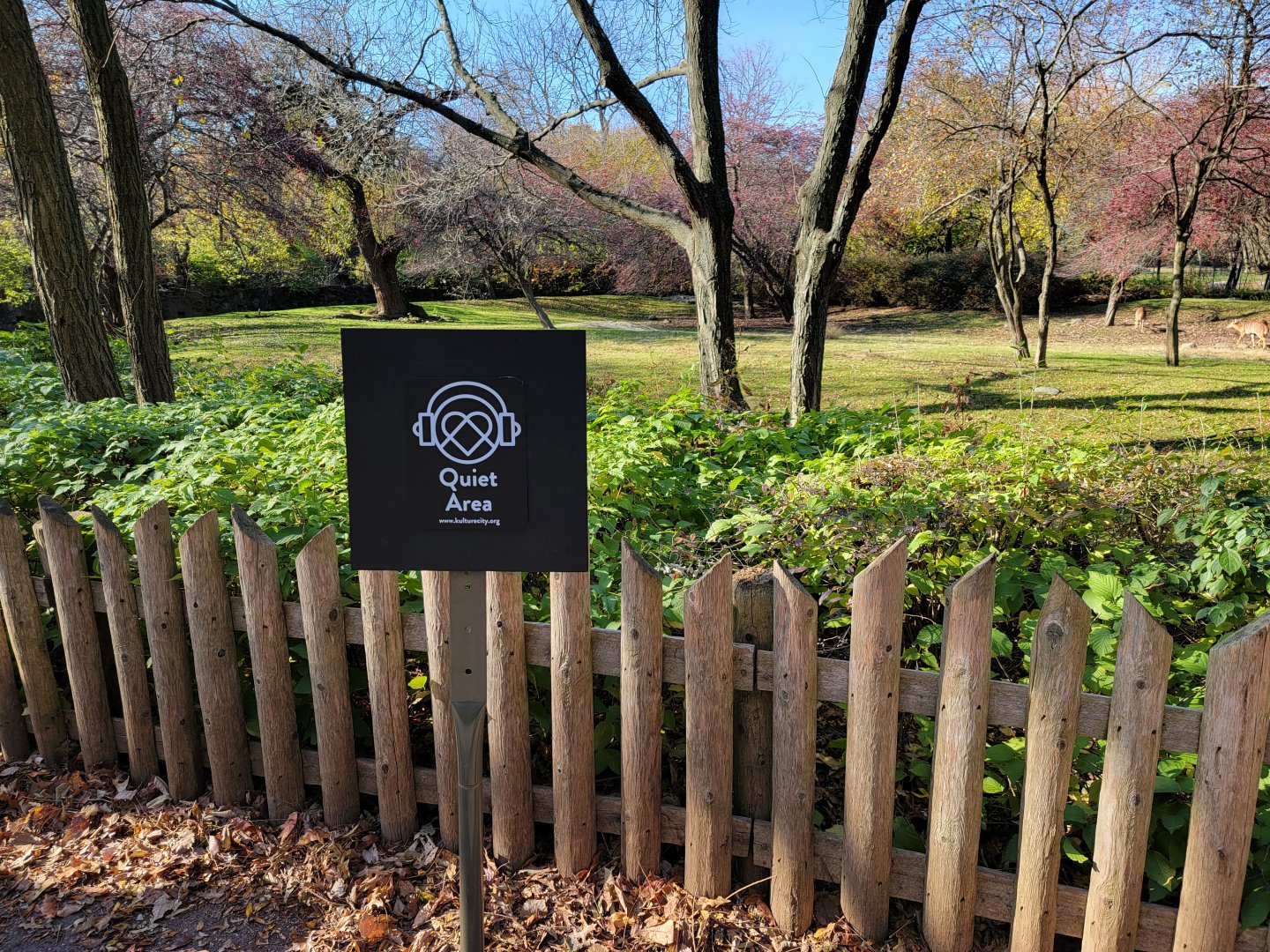 Bronx - Africa - Nyala yard "Quiet Area", next to a bunch of benches and running kids...