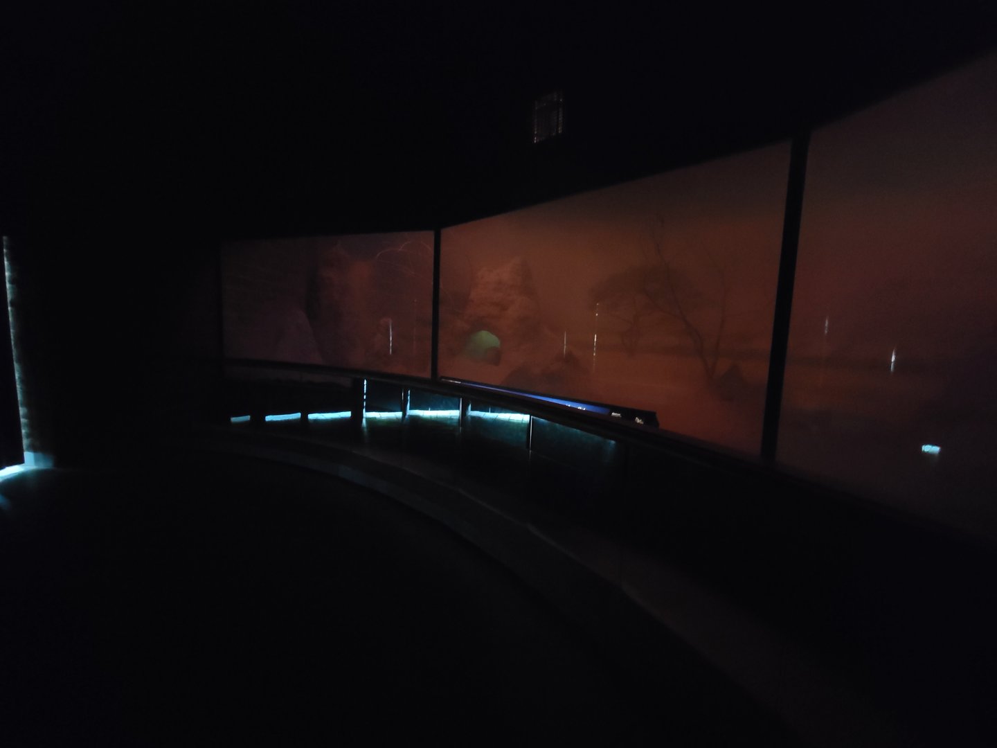 Bronx - Africa Trail, Carter Giraffe Building, Aardvark and Scops owl nocturnal exhibit