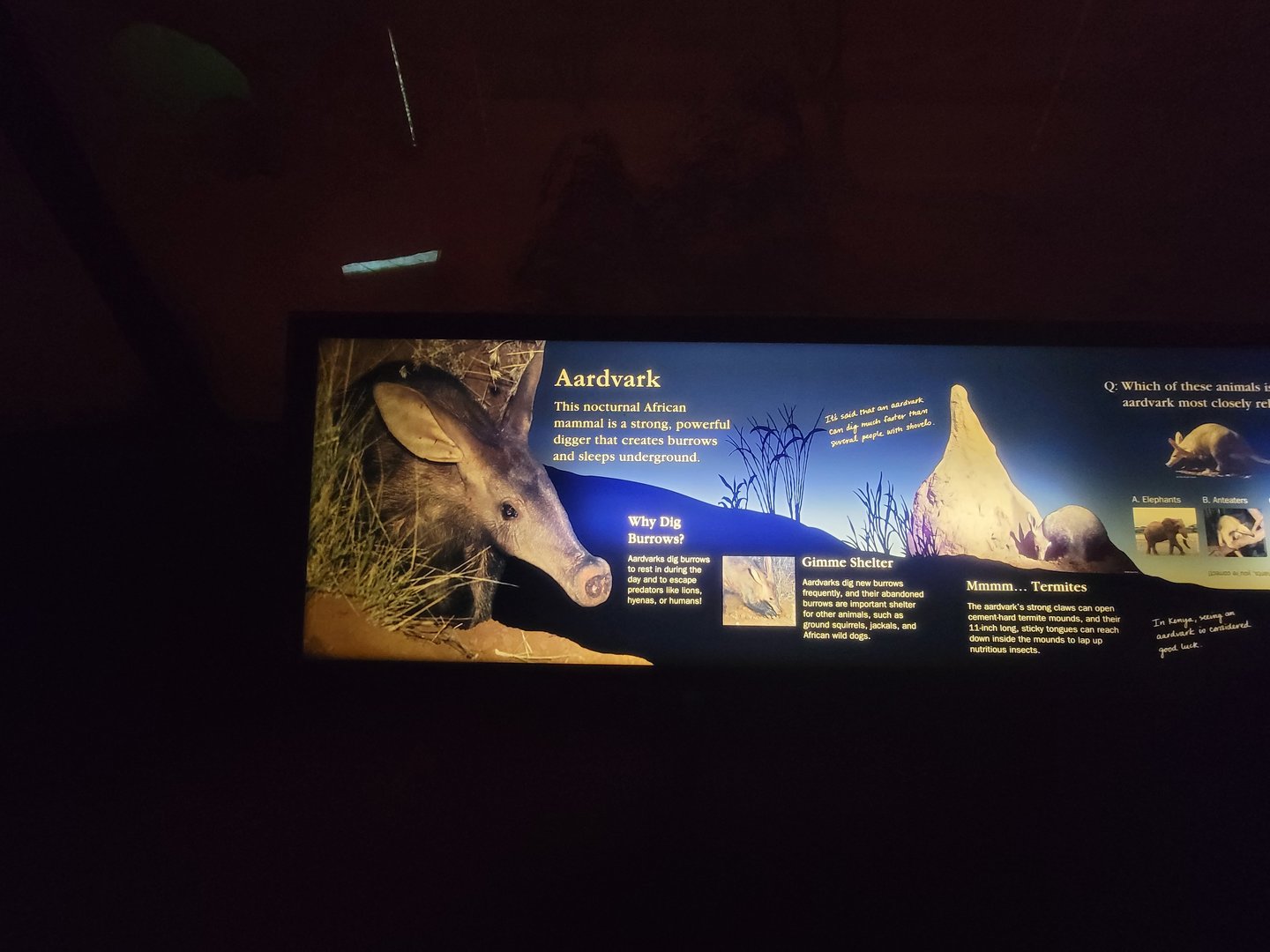 Bronx - Africa Trail, Carter Giraffe Building, Aardvark sign