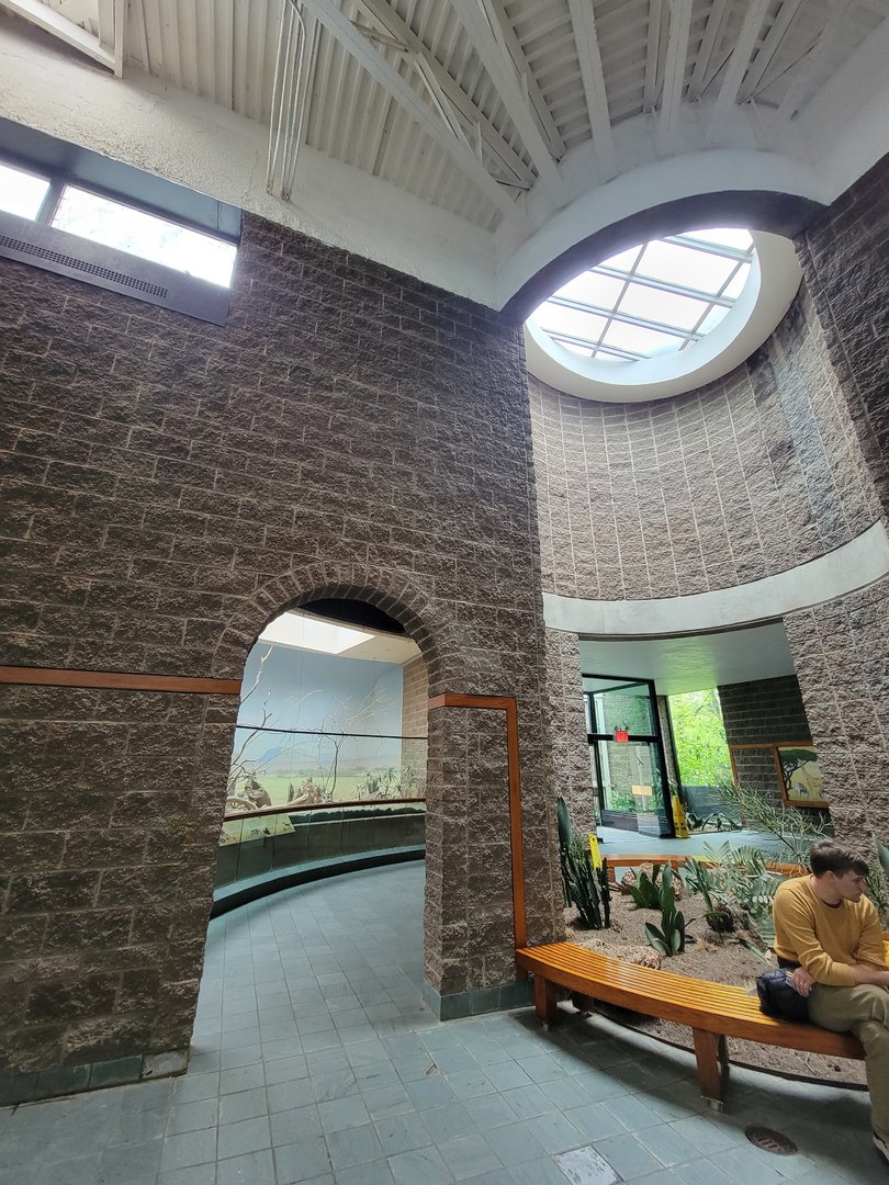 Bronx - Africa Trail, Carter Giraffe Building architecture