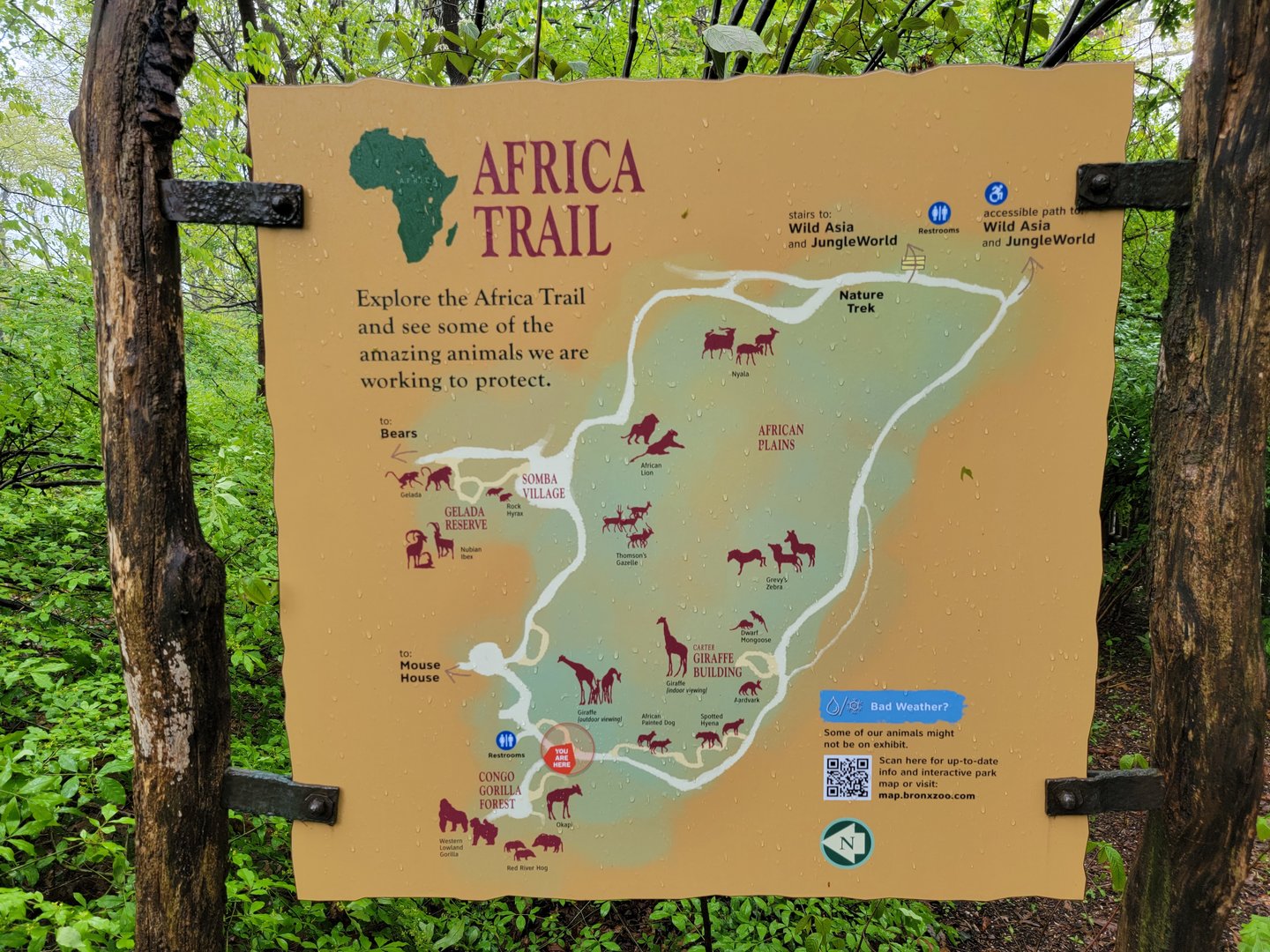 Bronx - Africa Trail map