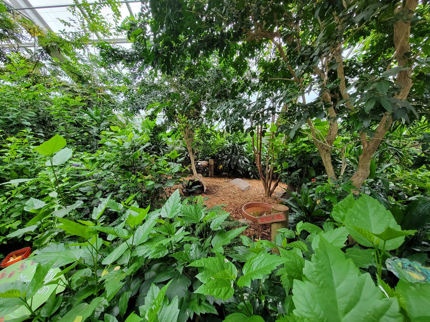 Bronx - Butterfly House