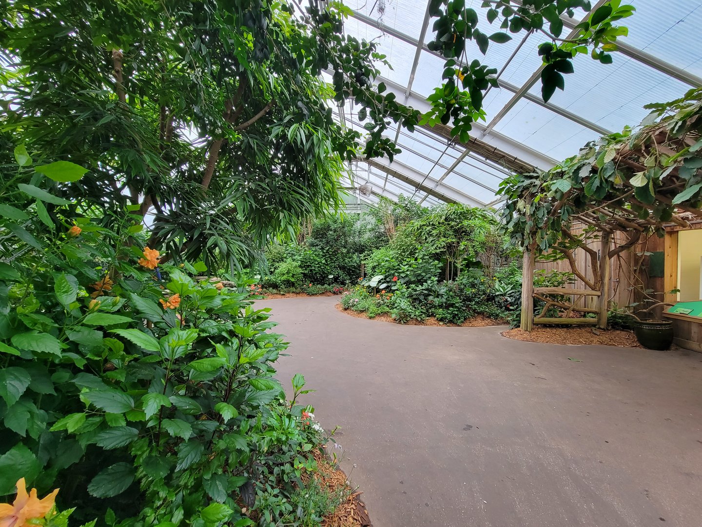 Bronx - Butterfly House