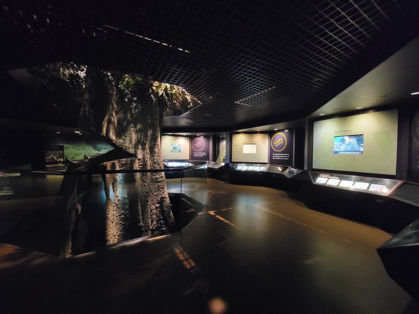 Bronx - Congo, Conservation Showcase rotunda