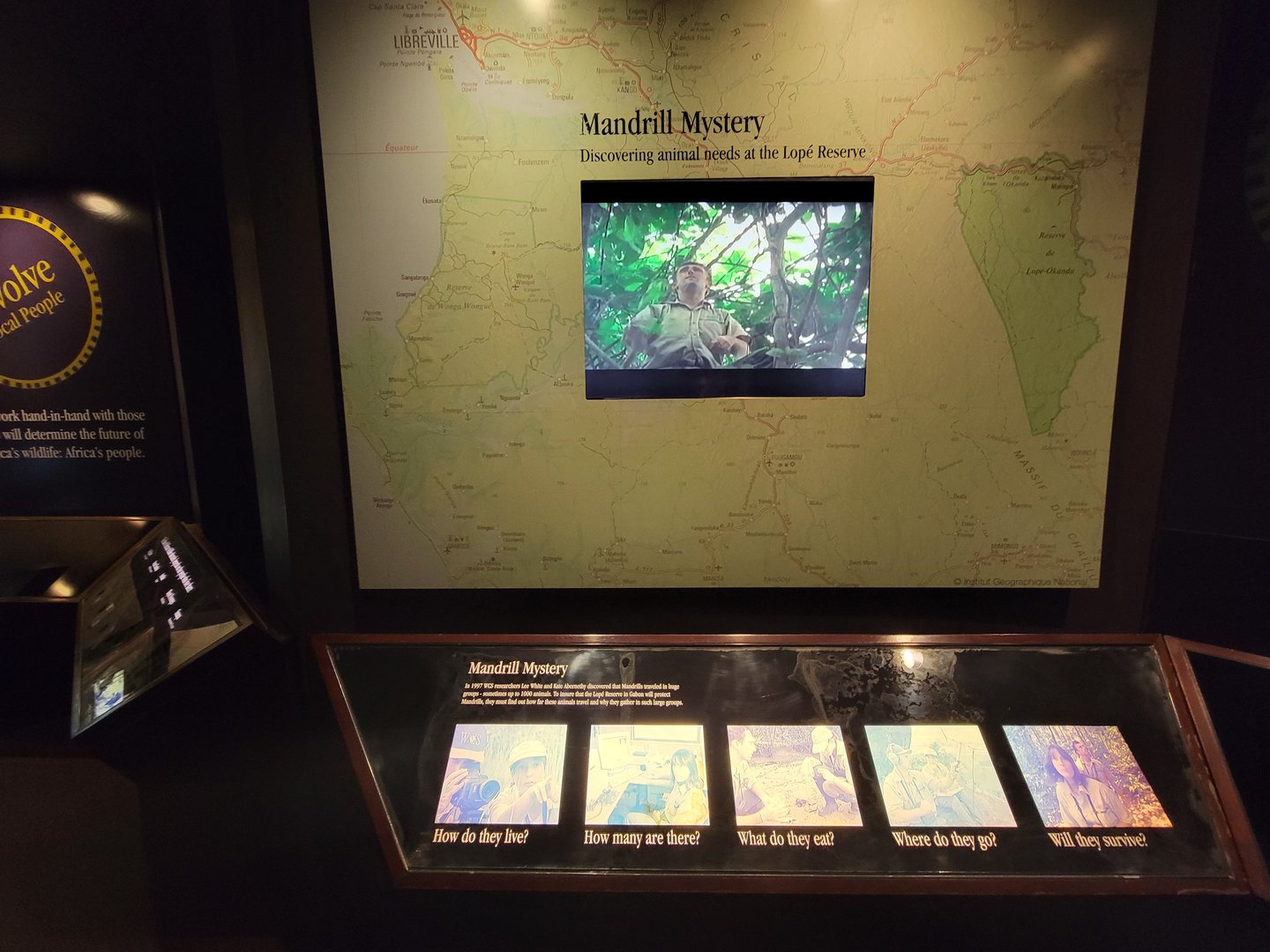 Bronx - Congo, Conservation Showcase rotunda