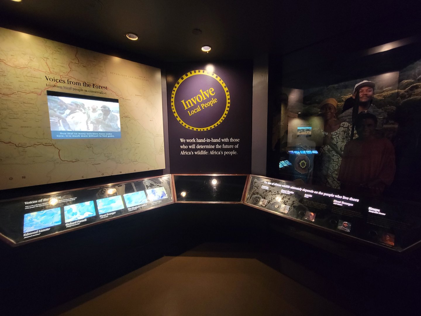 Bronx - Congo, Conservation Showcase rotunda