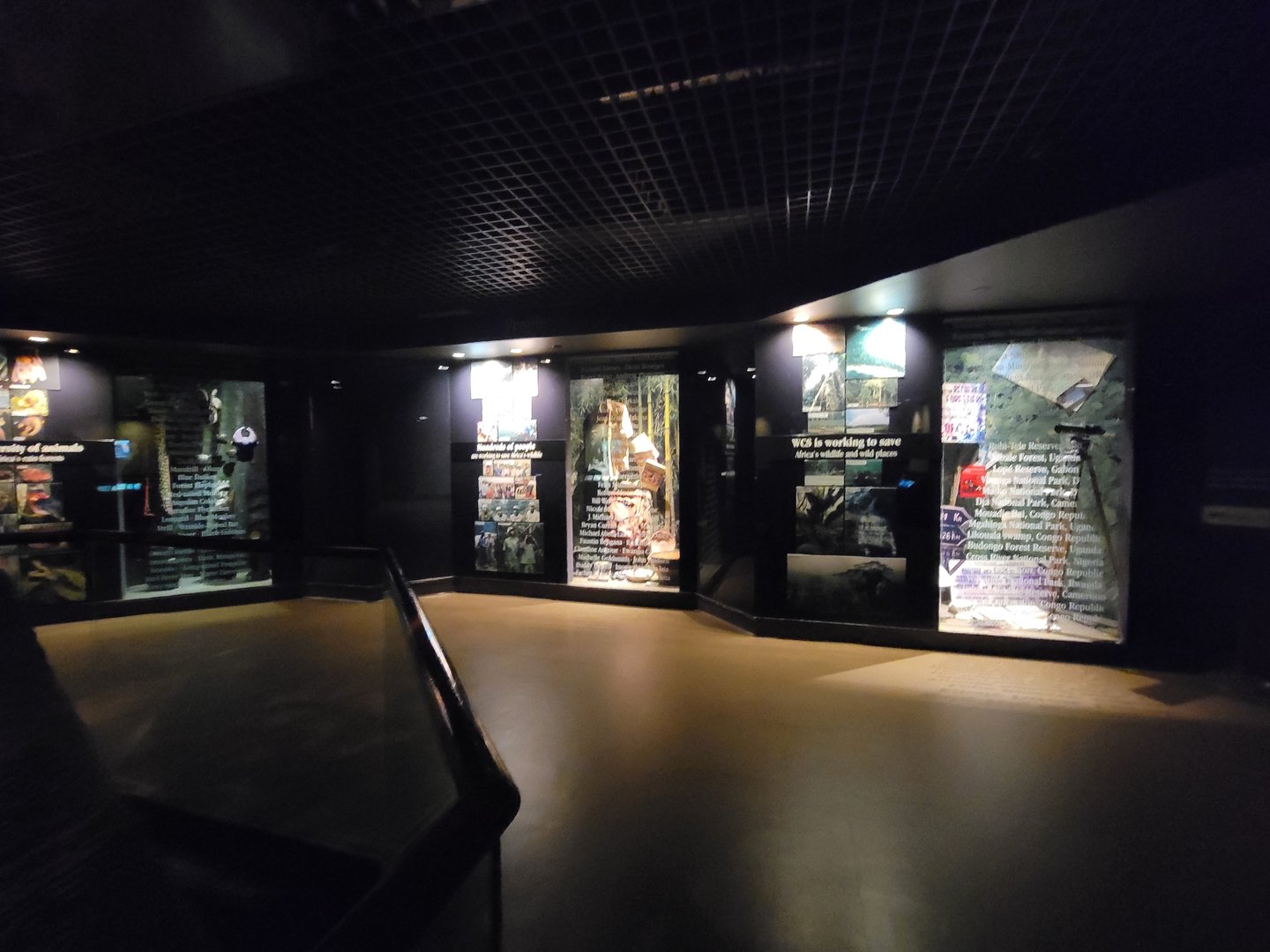 Bronx - Congo, Conservation Showcase rotunda