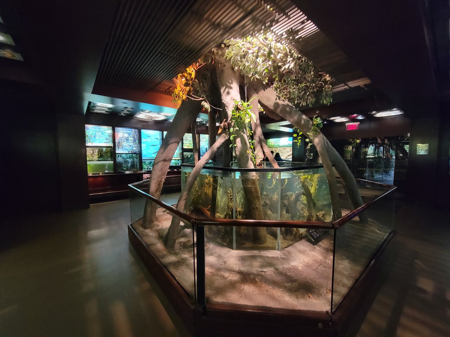 Bronx - Congo, first rotunda