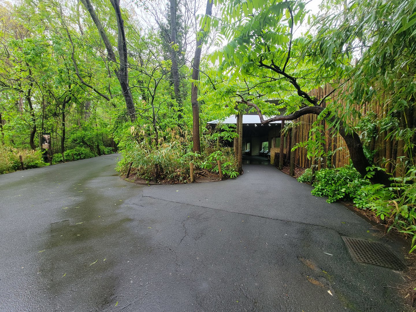 Bronx - Congo, "Forest Edge View" (not part of the extra fee area)